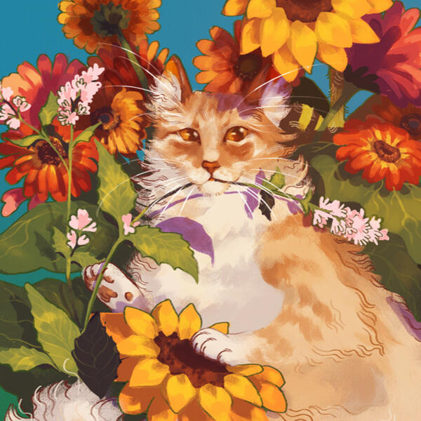 Type B / Experimental, Render